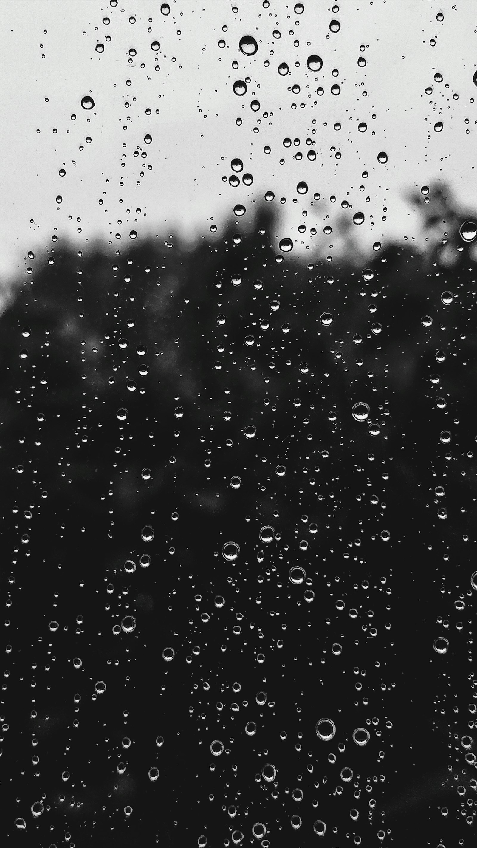 Rain drops scattered across glass, monochrome
